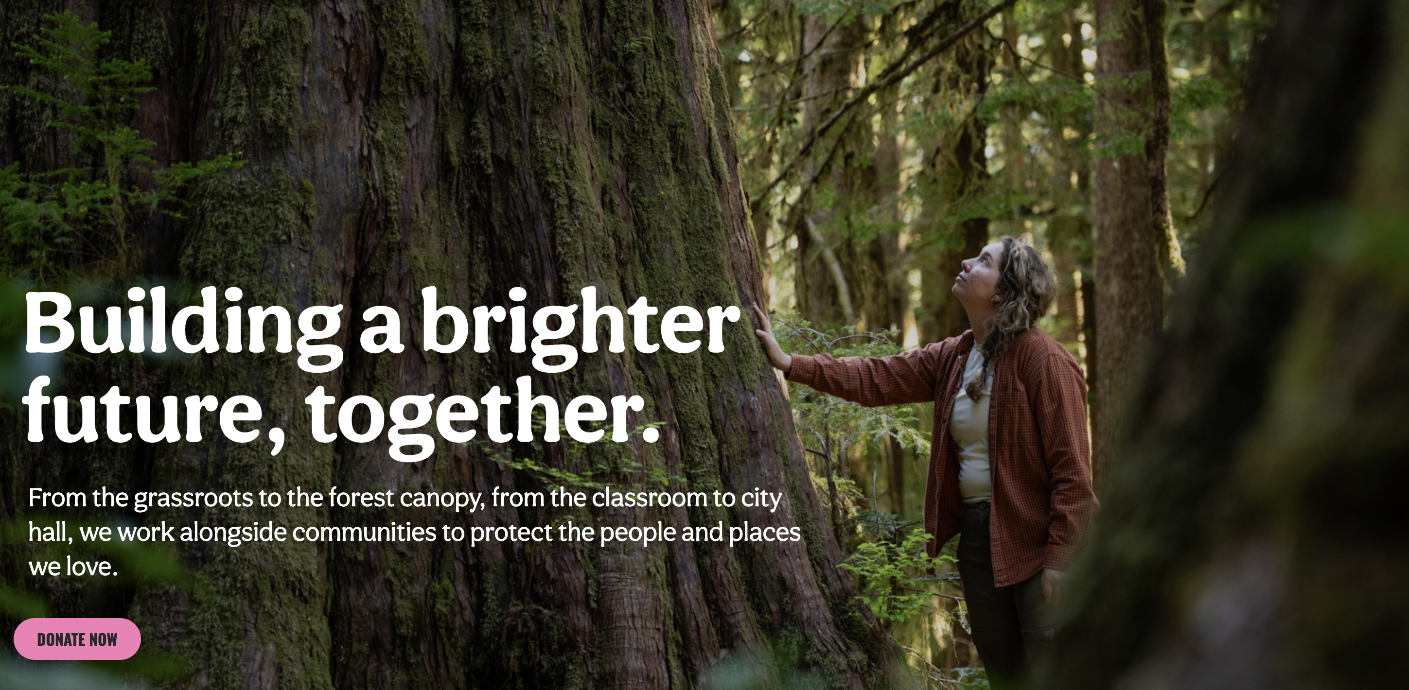 Sierra Club BC TEST logo